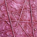 Libere prigioni - Tecnica mista su tavola - 2009 - cm 20x20